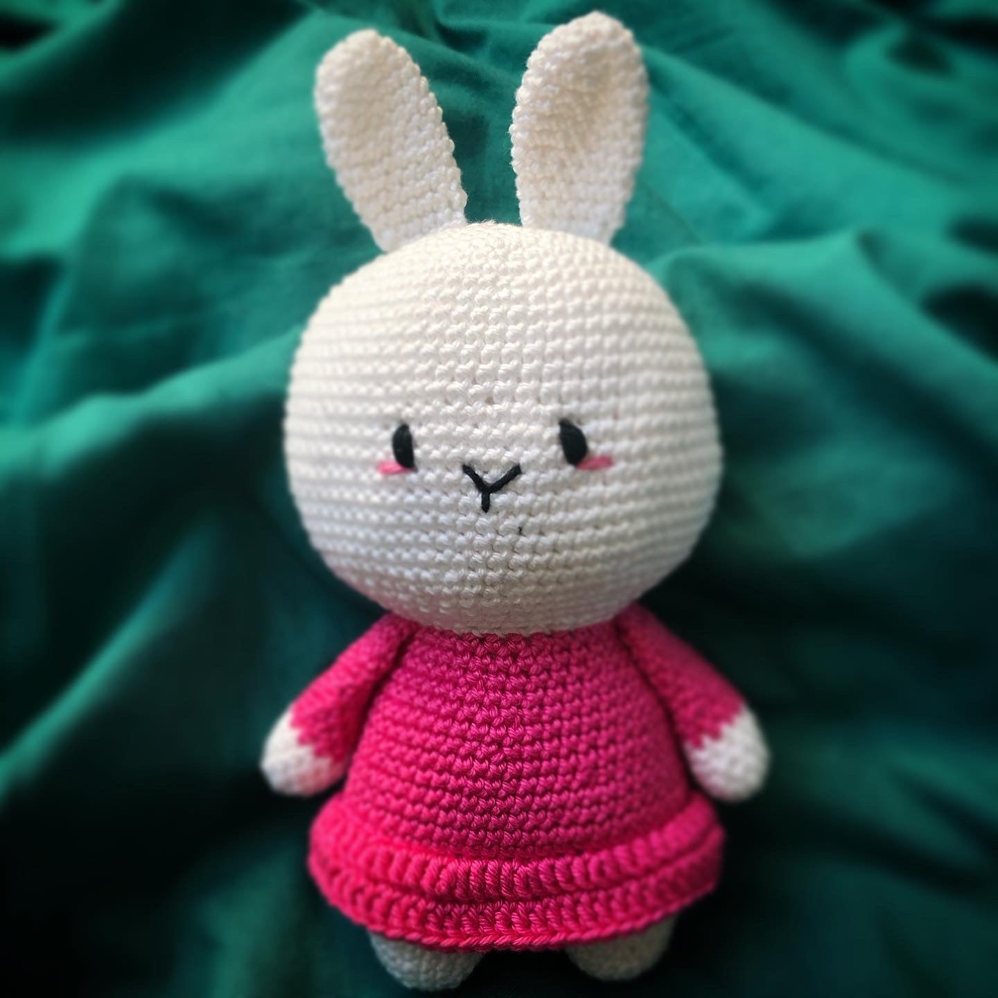 Lapin avec sa robe au Crochet !