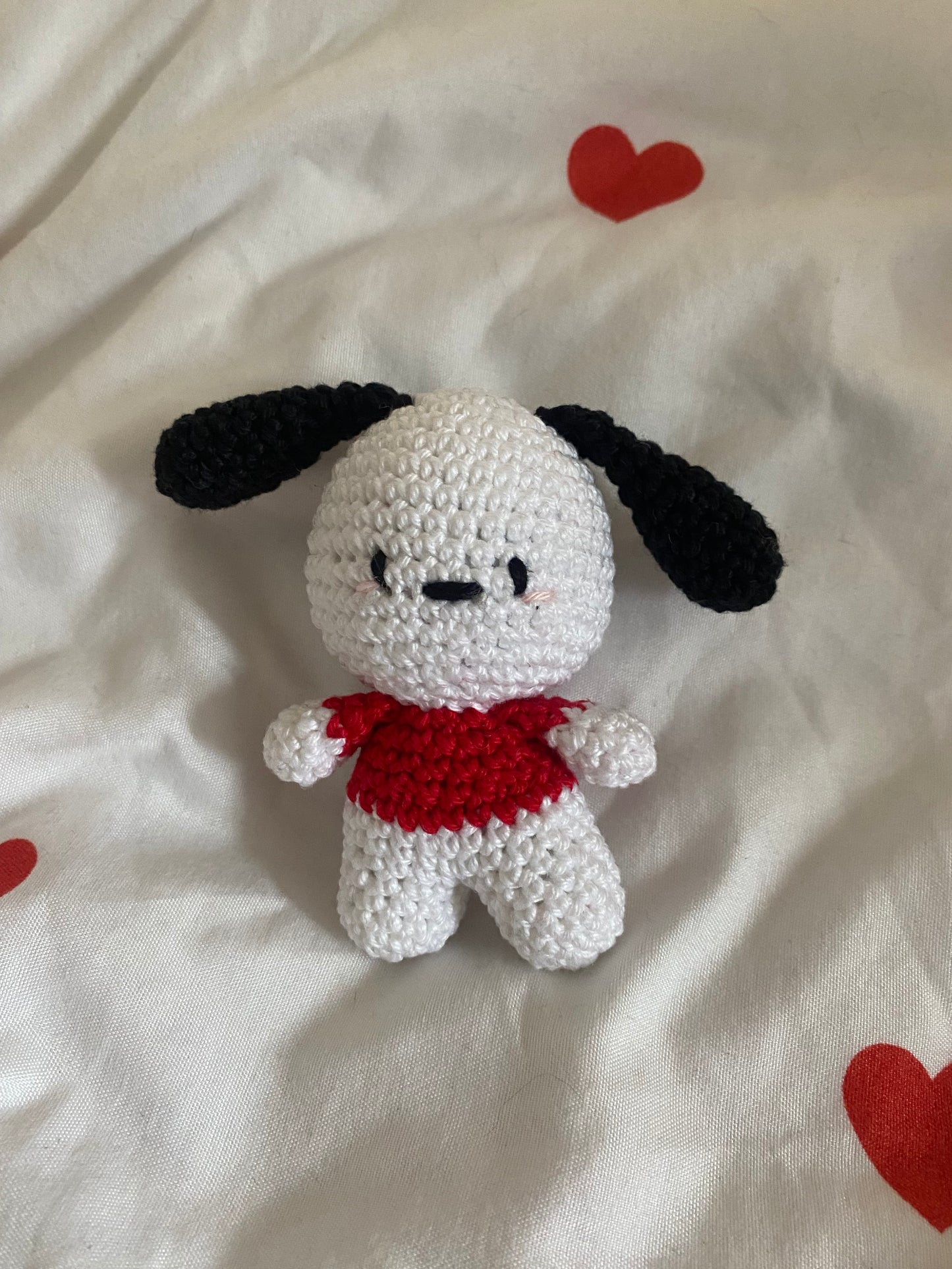 Mini Pocachoo !