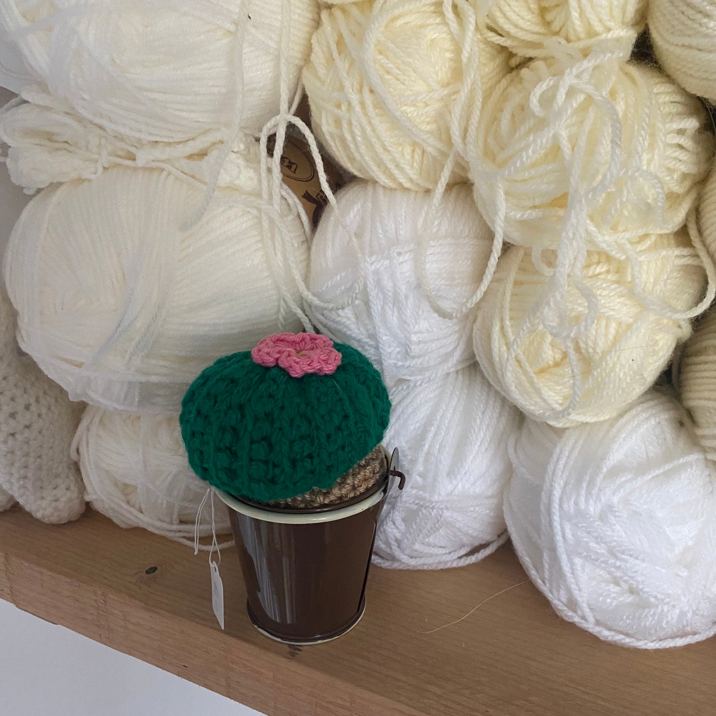Cactus au Crochet !