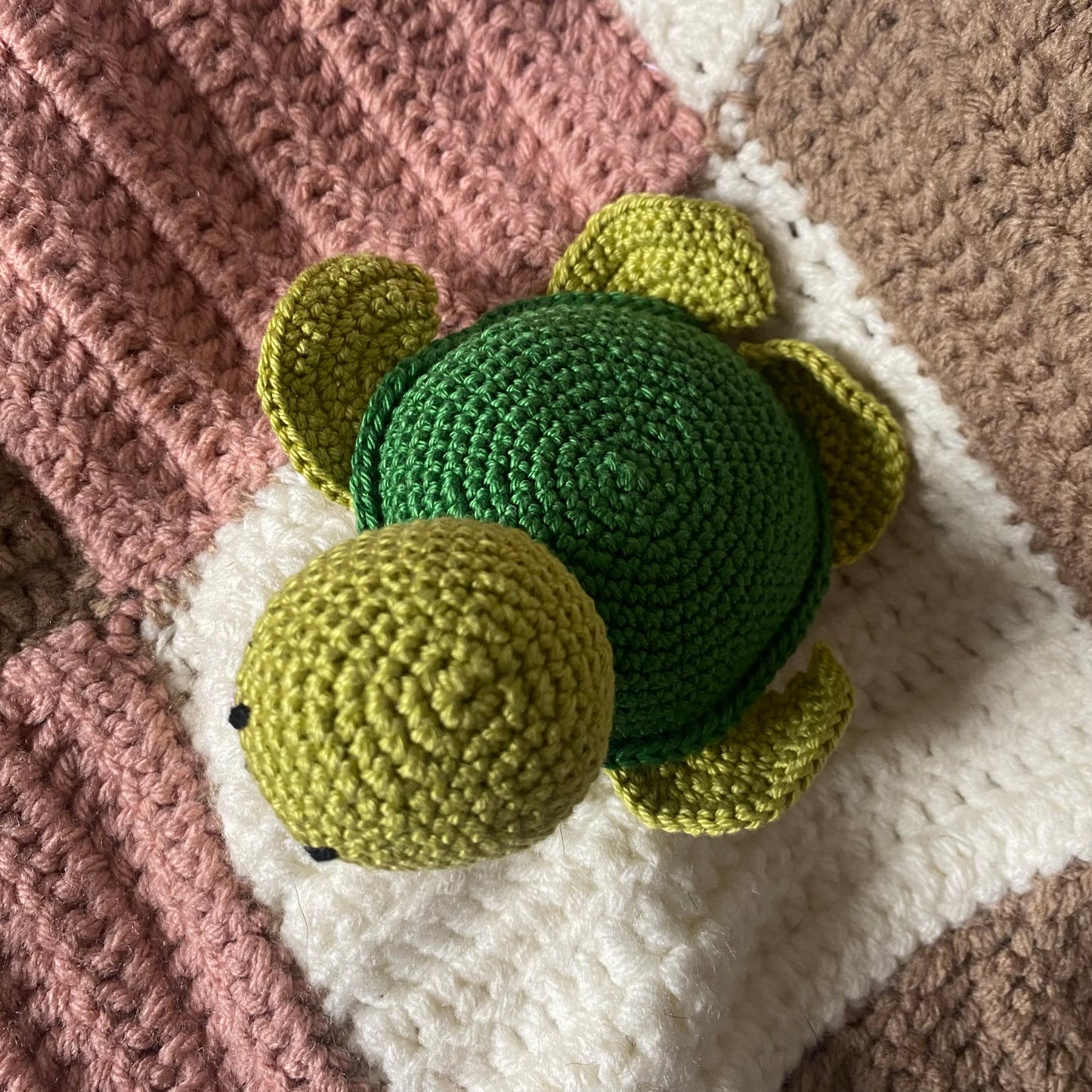 Tortue Marine !
