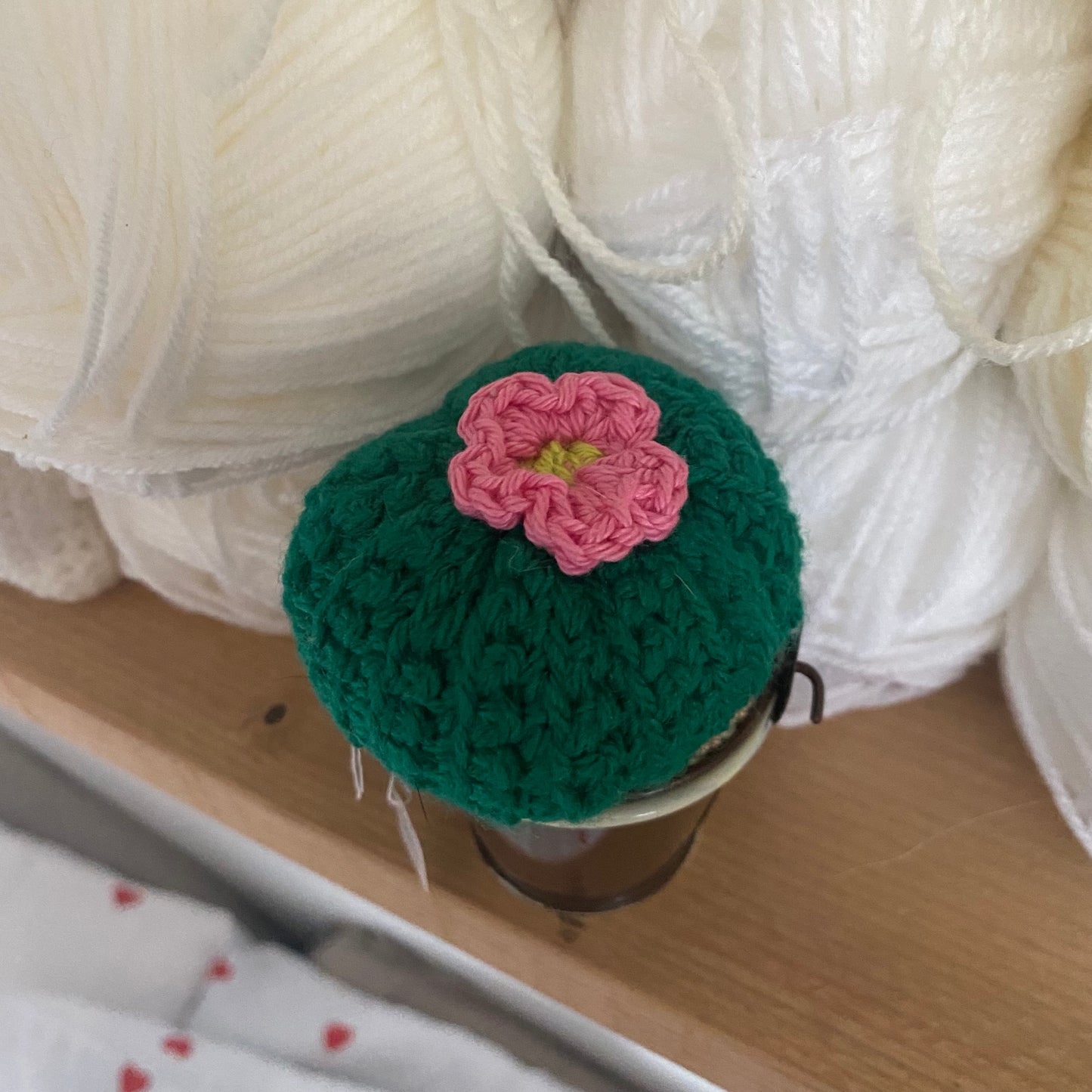 Cactus au Crochet !