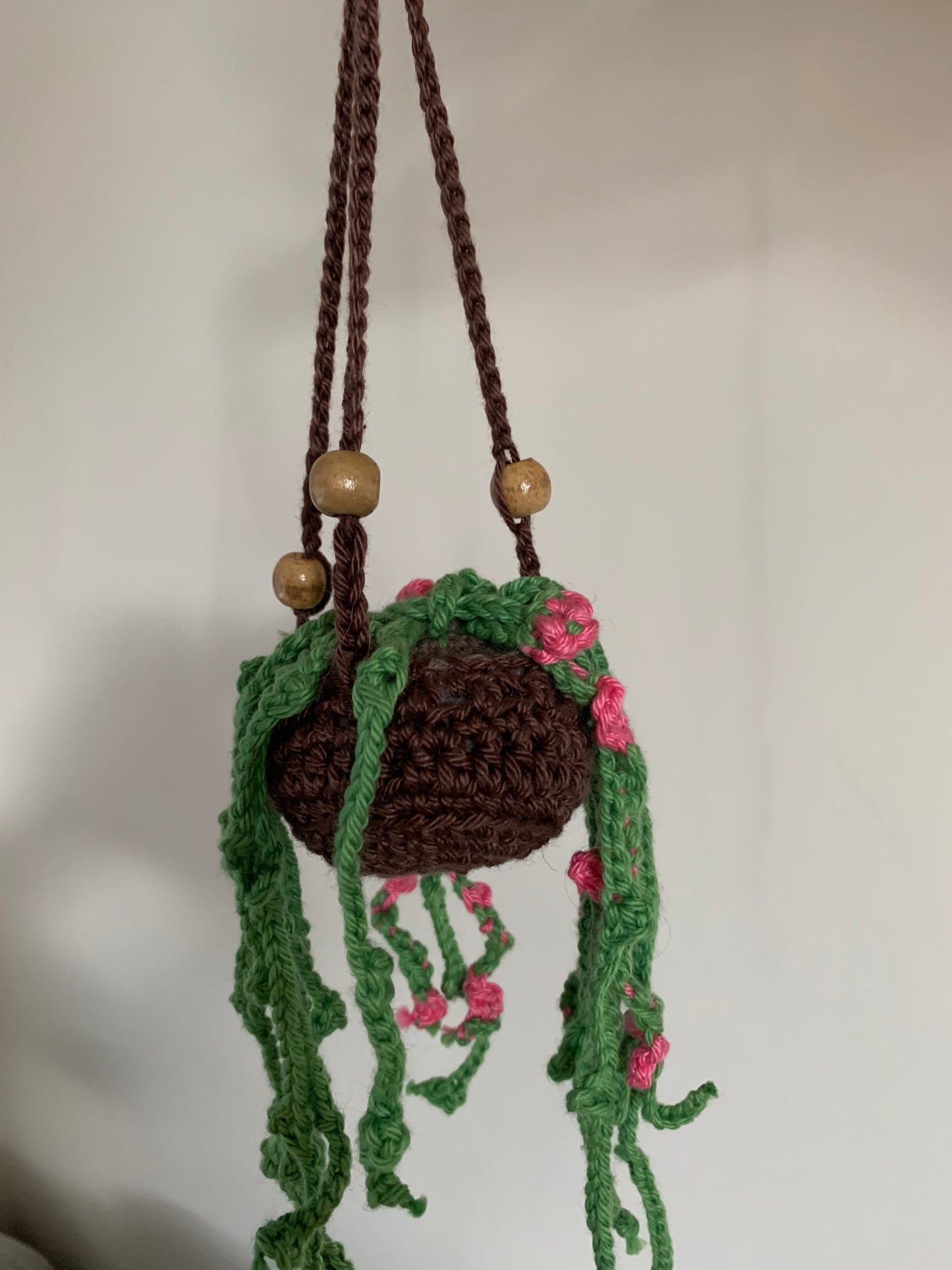 Plante suspendu au Crochet !