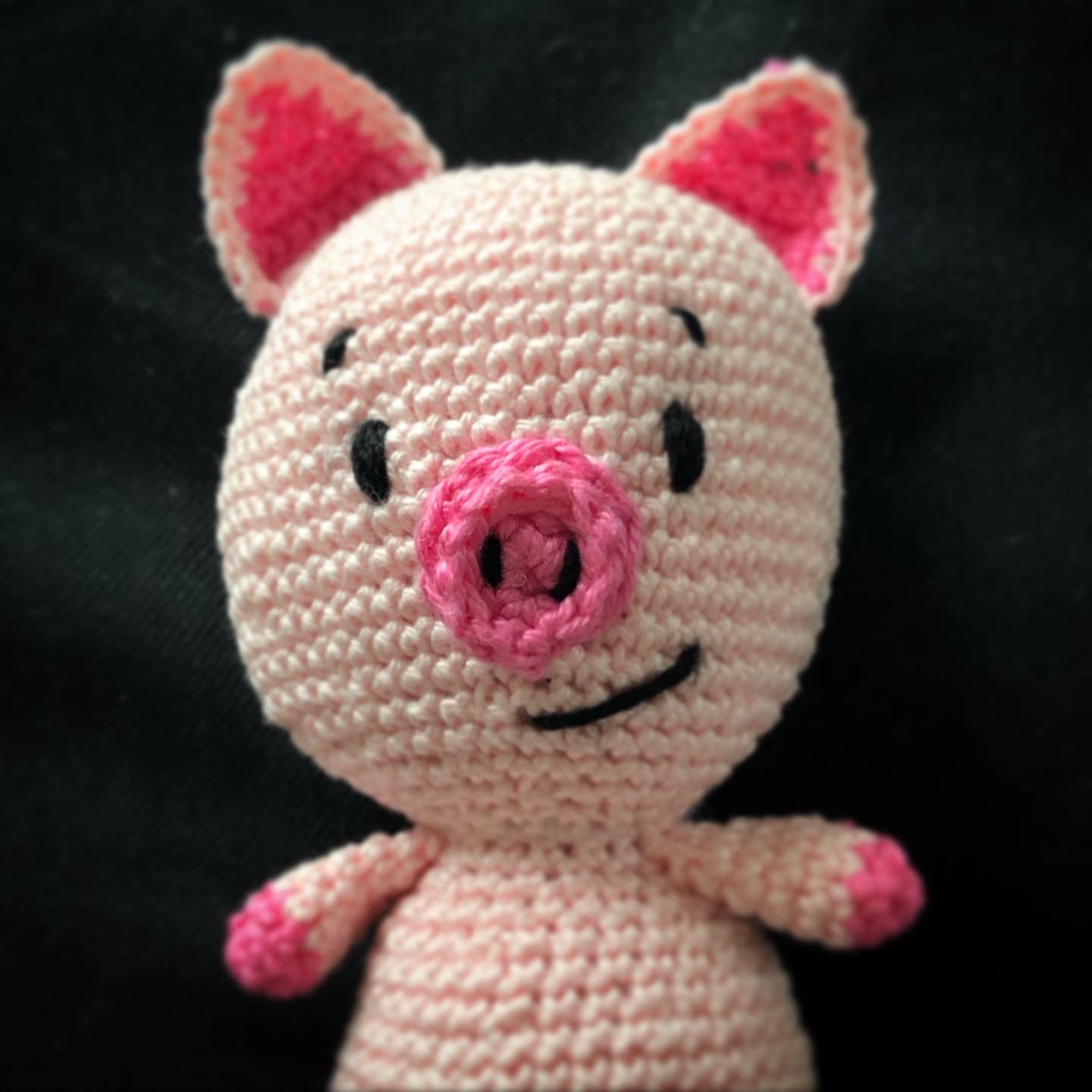Cochon au Crochet !