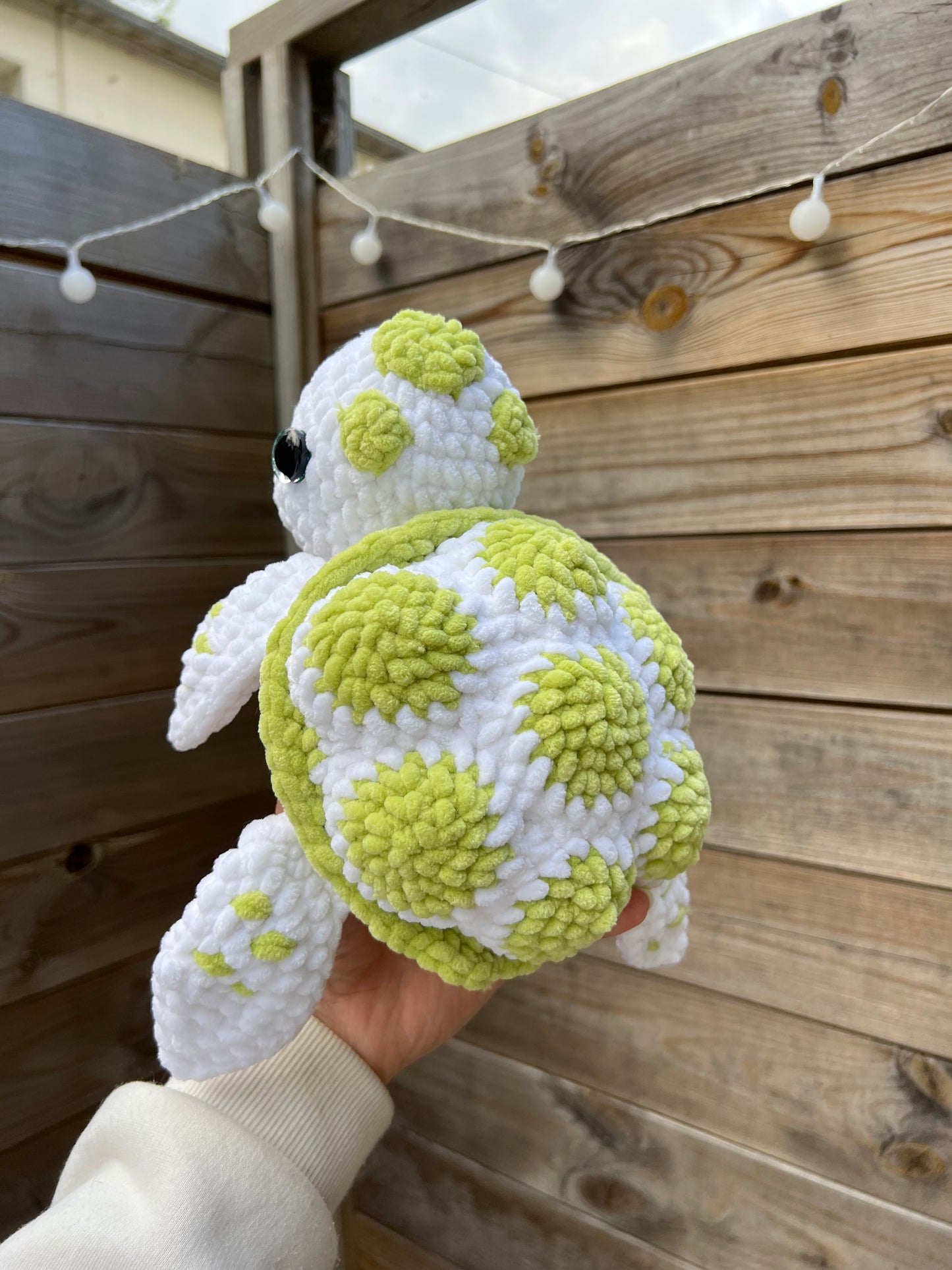 Tortue marine toute douce