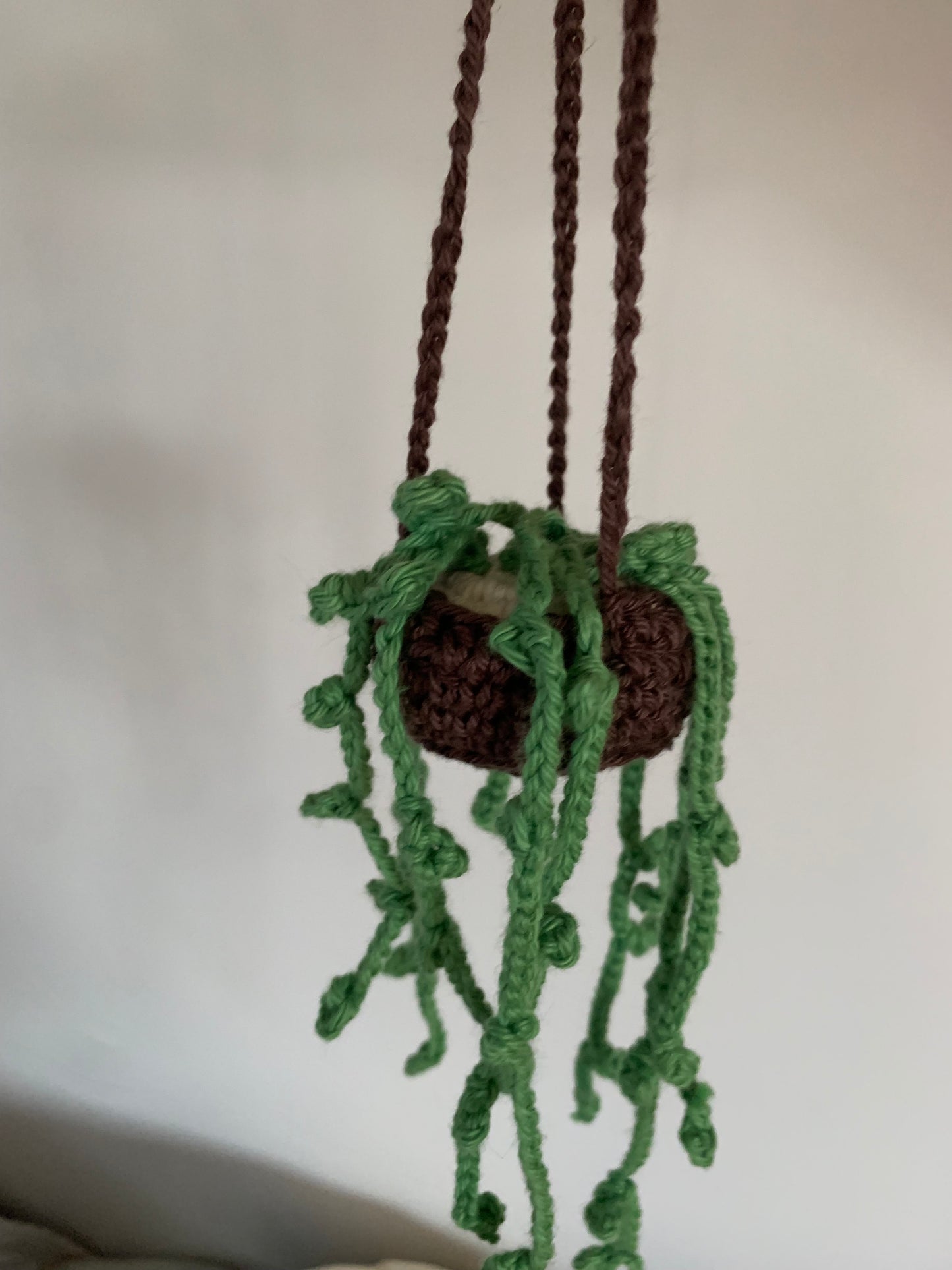 Plante suspendu au Crochet !