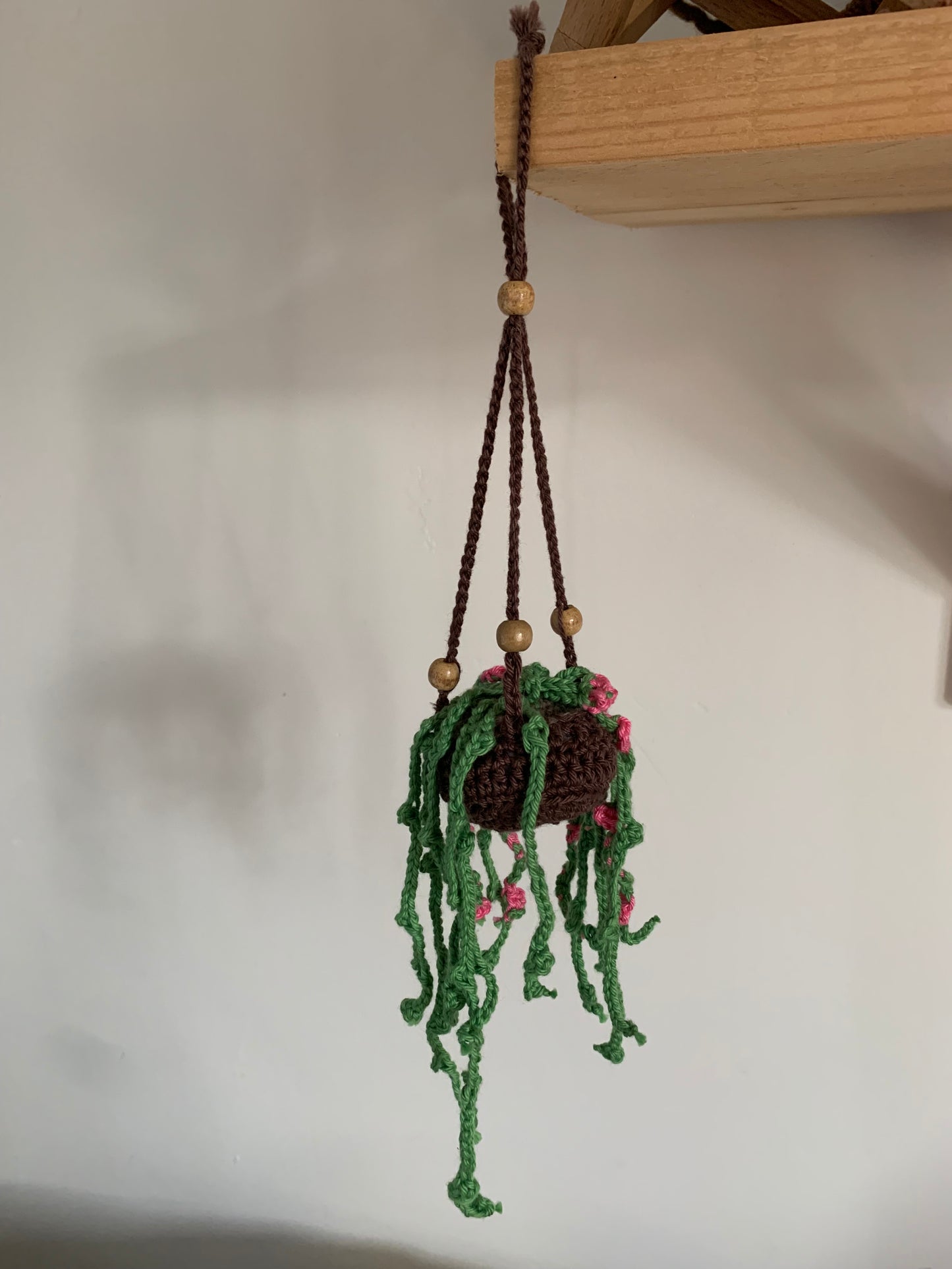 Plante suspendu au Crochet !