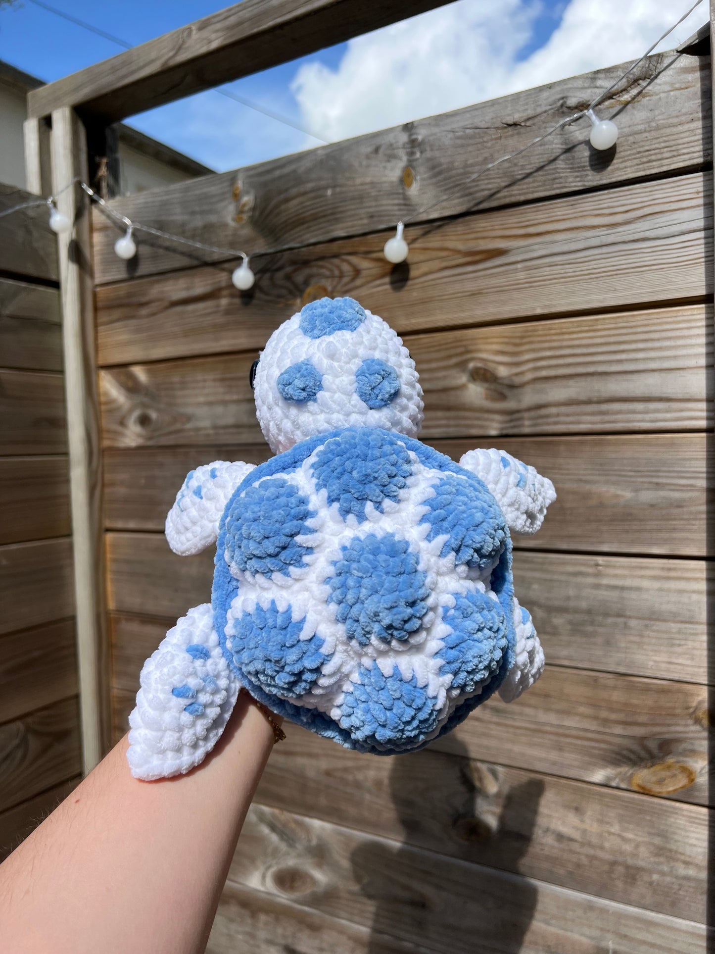 Tortue marine toute douce