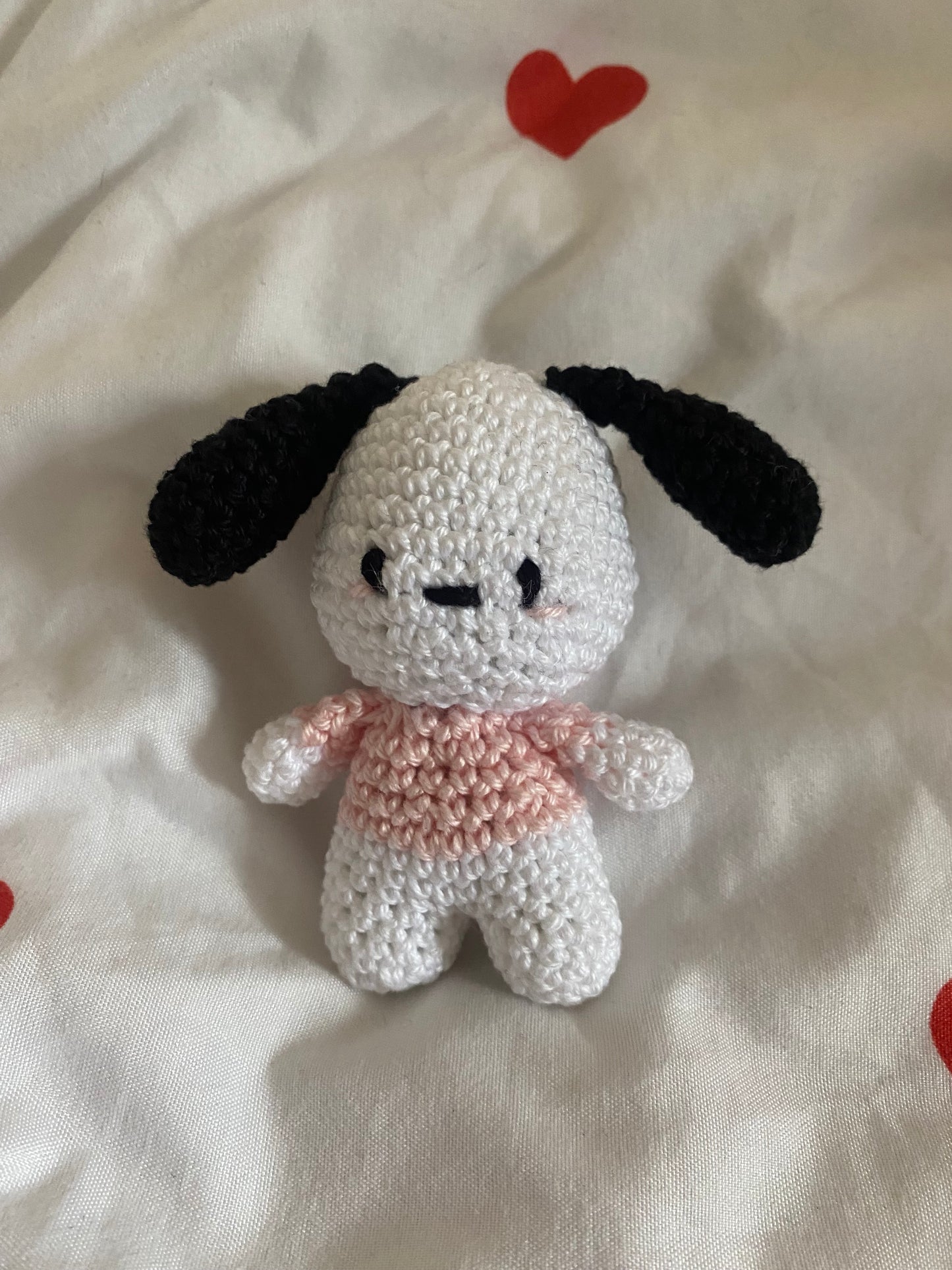 Mini Pocachoo !