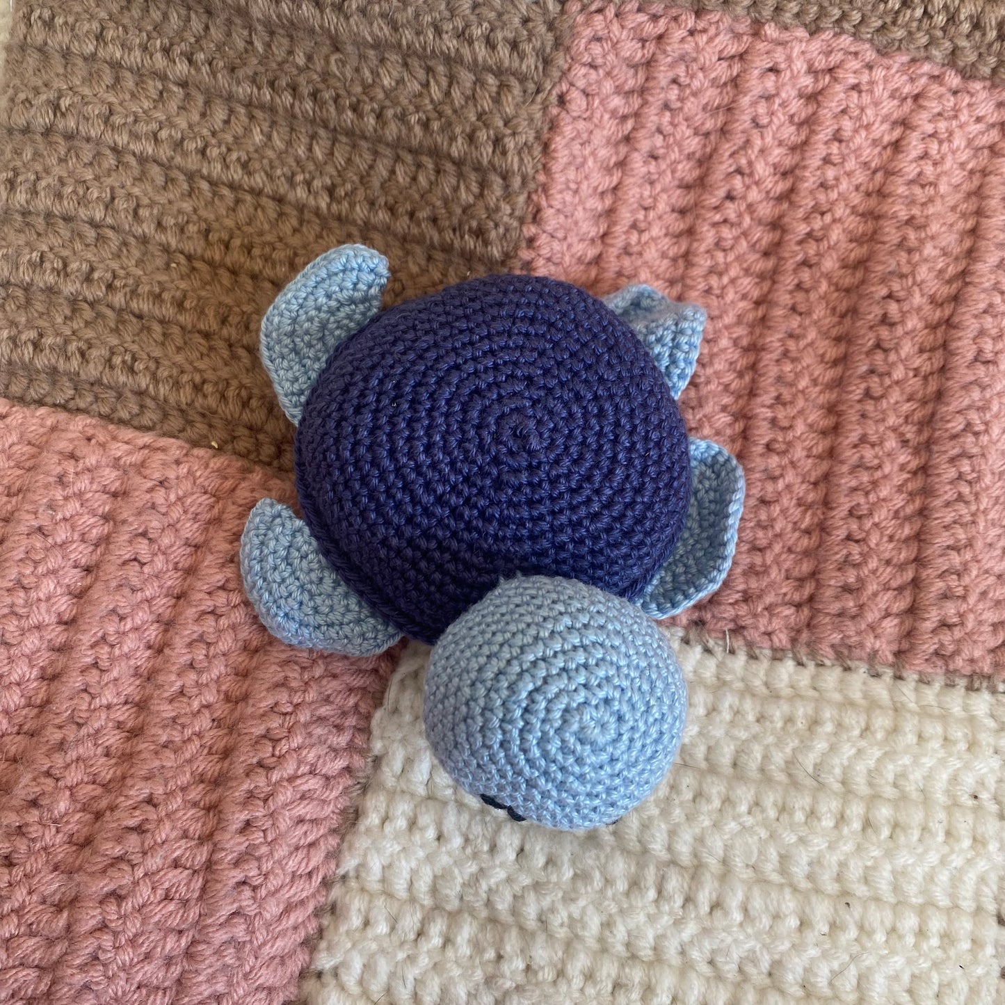 Tortue Marine !
