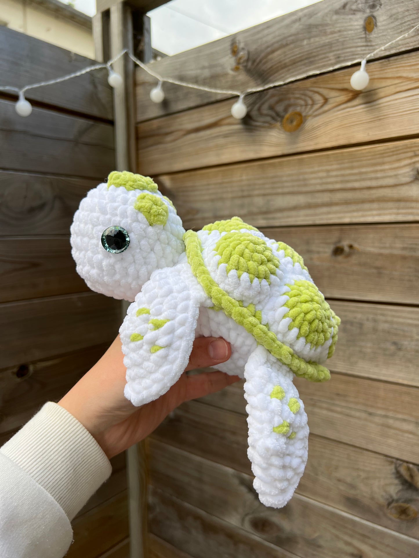 Tortue marine toute douce