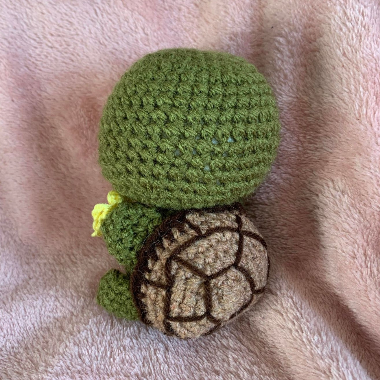 Tortue au Crochet !